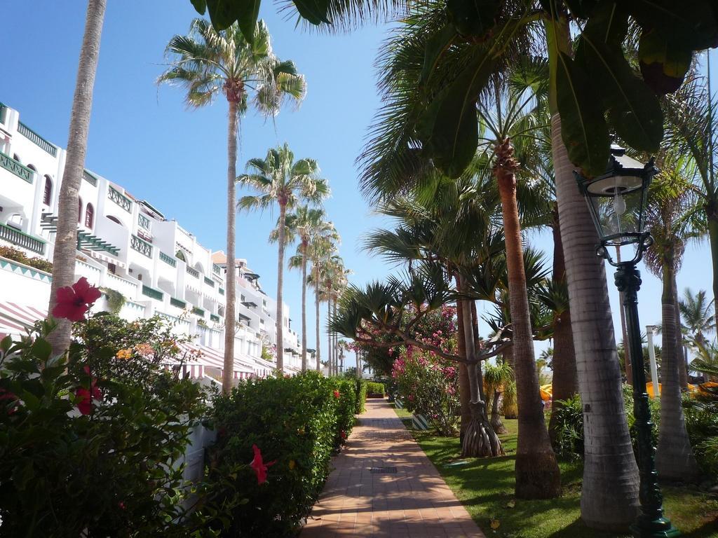 4 Santiago Playa Tenerife Estudio Playa de las Americas (Tenerife) Quarto foto